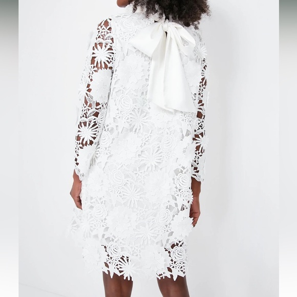 TUCKERNUCK Blanc Guipure Lace Daphne Dress - Picture 4 of 11